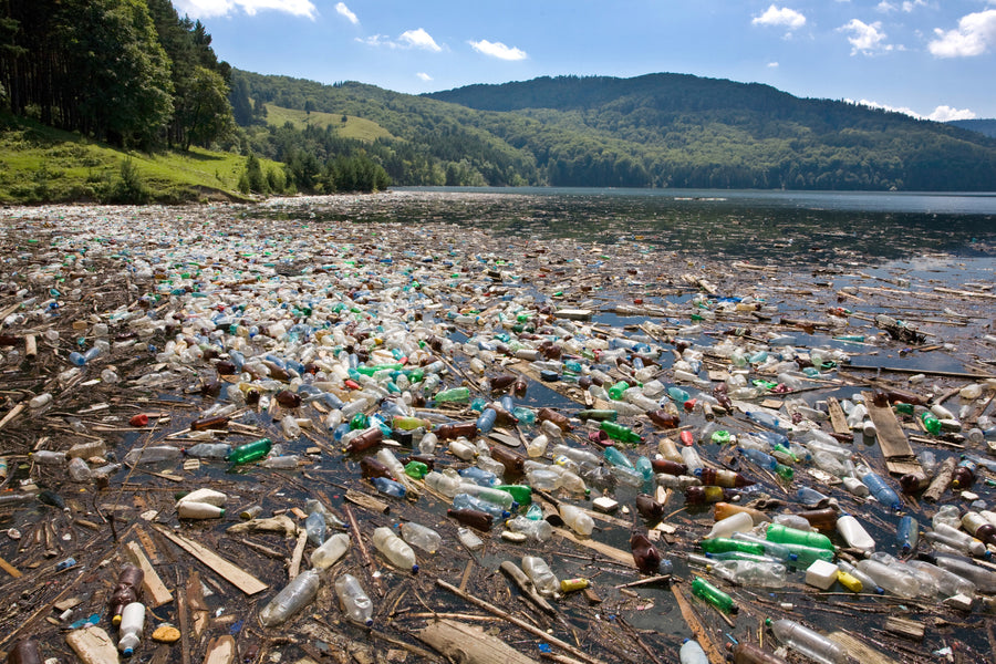 5 Ways Plastic Causes Environmental Harm